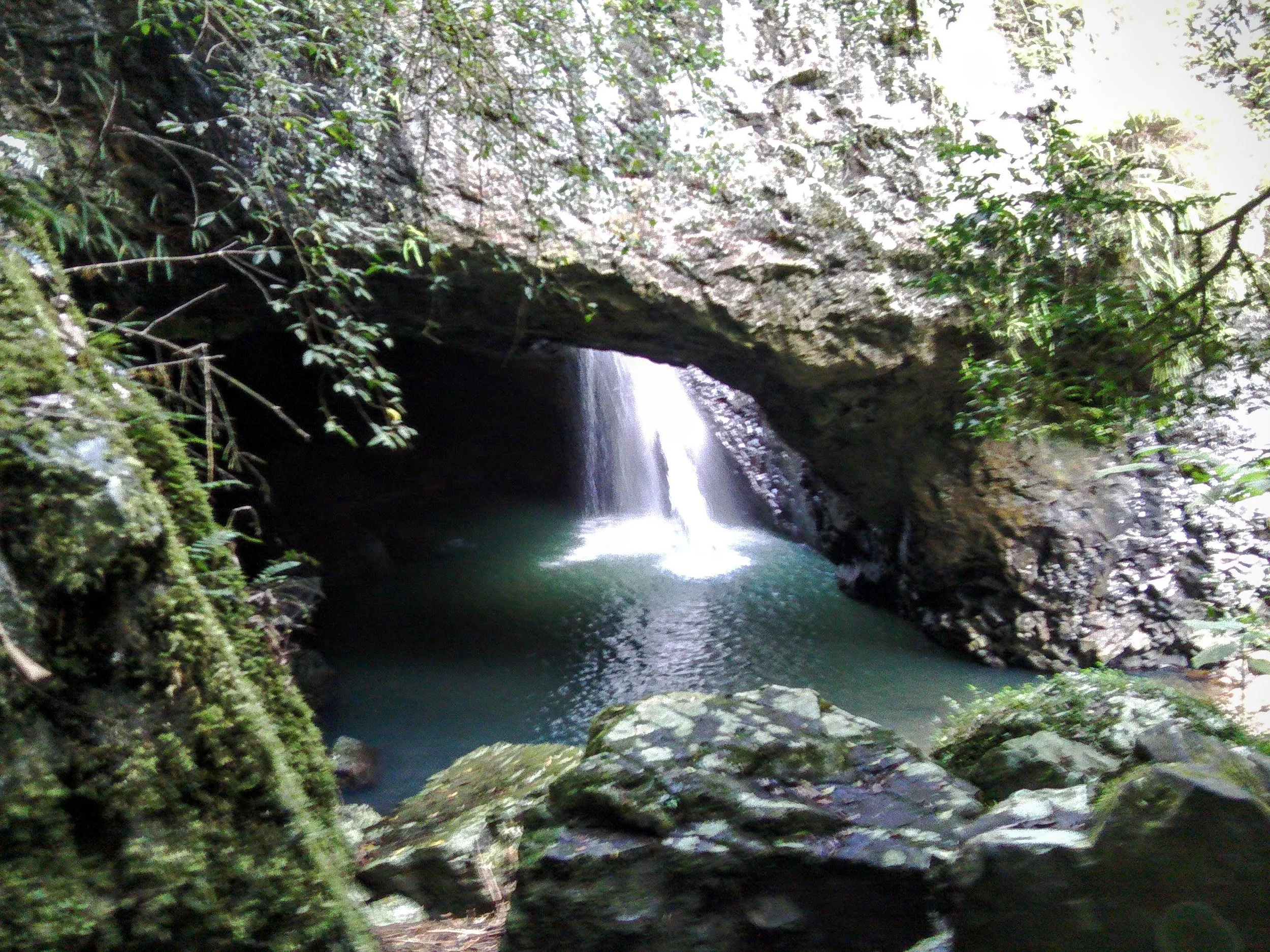 Springbrook National Park's Natural Bridge
