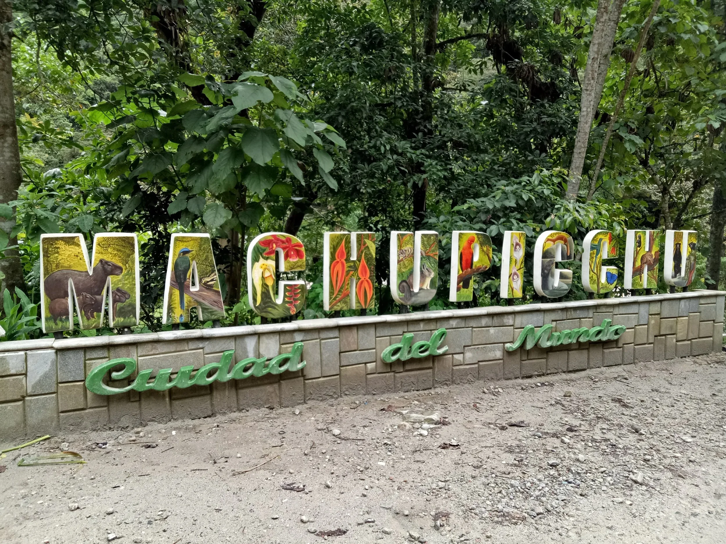 IMG20190212145459.jpg