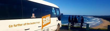 Stray bus.jpg
