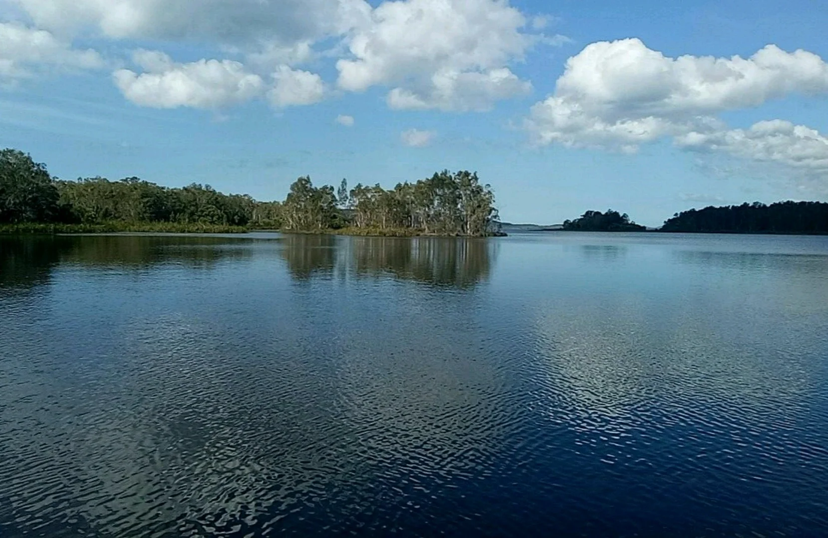 Noosa Everglades