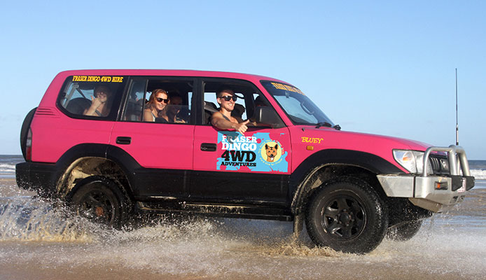 Fraser Dingo 4x4