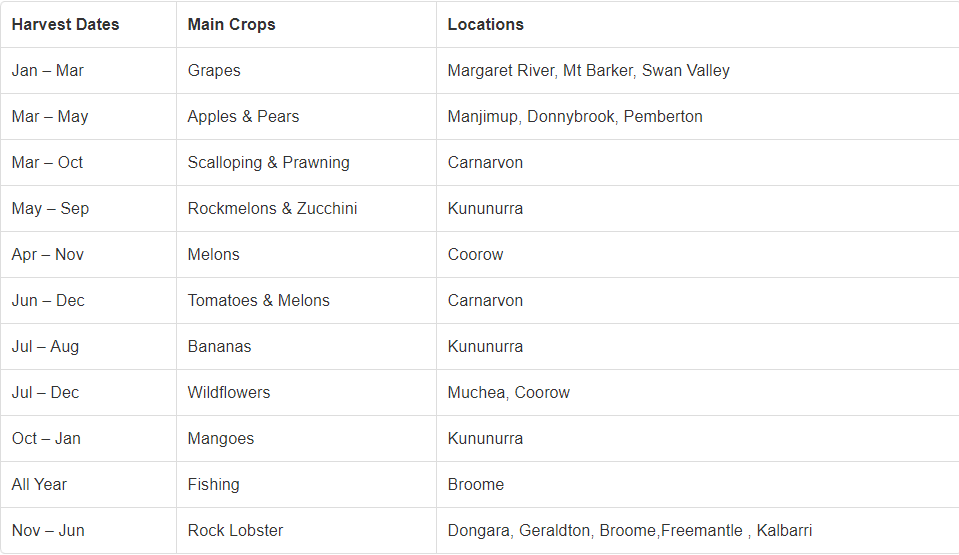 Western Australia Fruit and Season