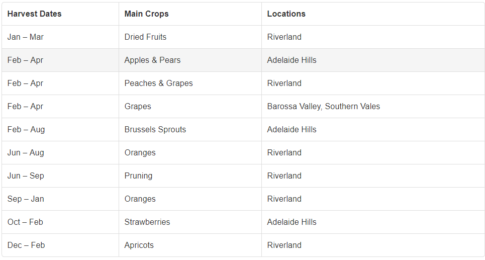 South Australia Fruit and Season