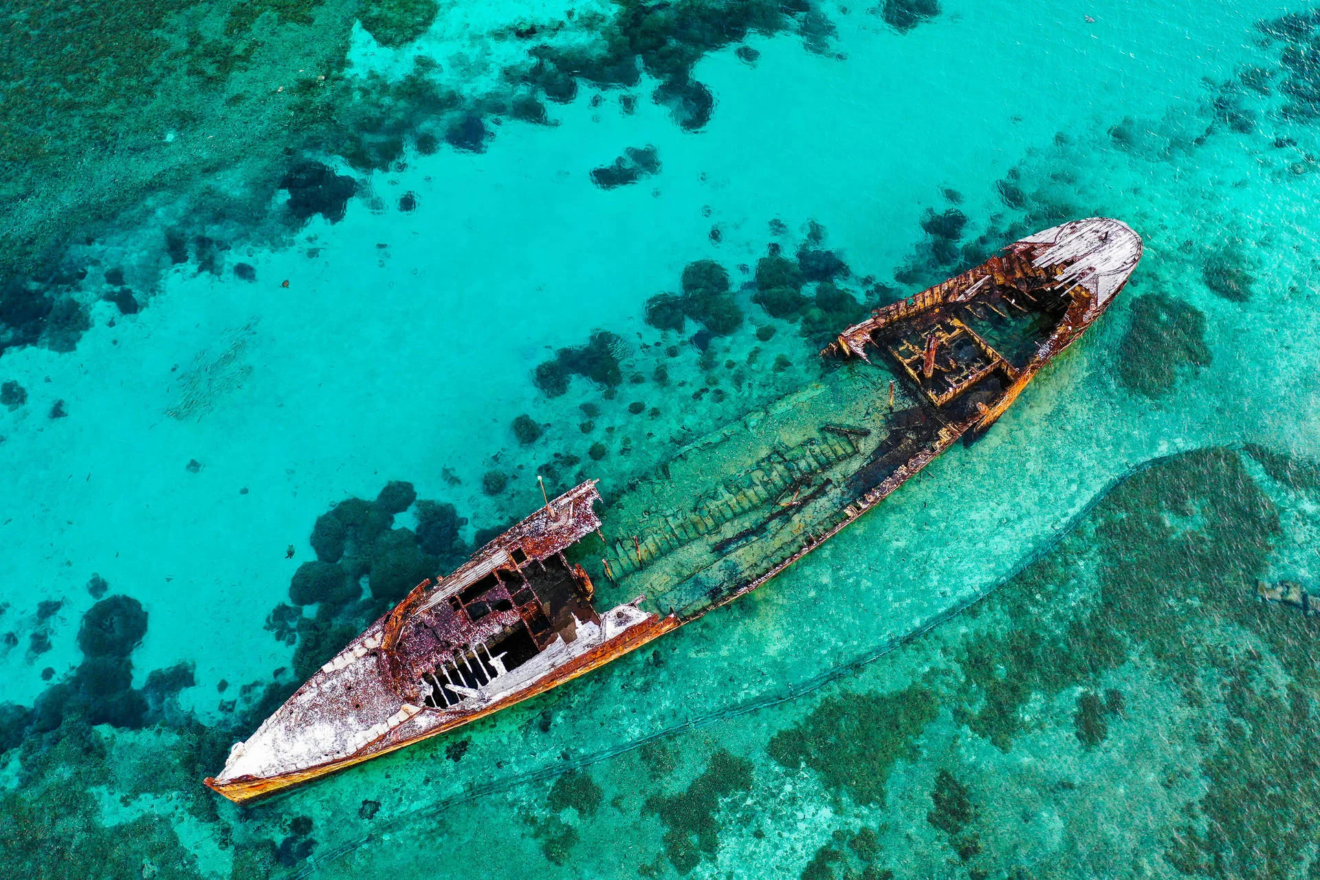 Heron Island Shipwreck