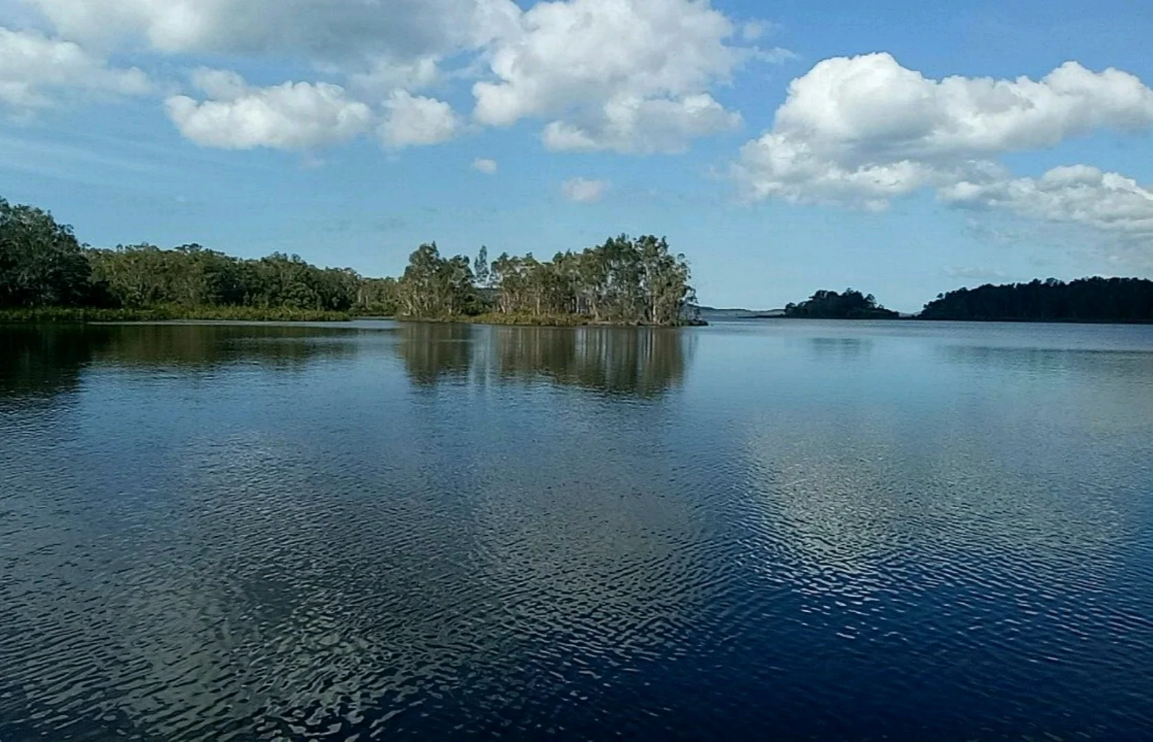 Noosa Everglades