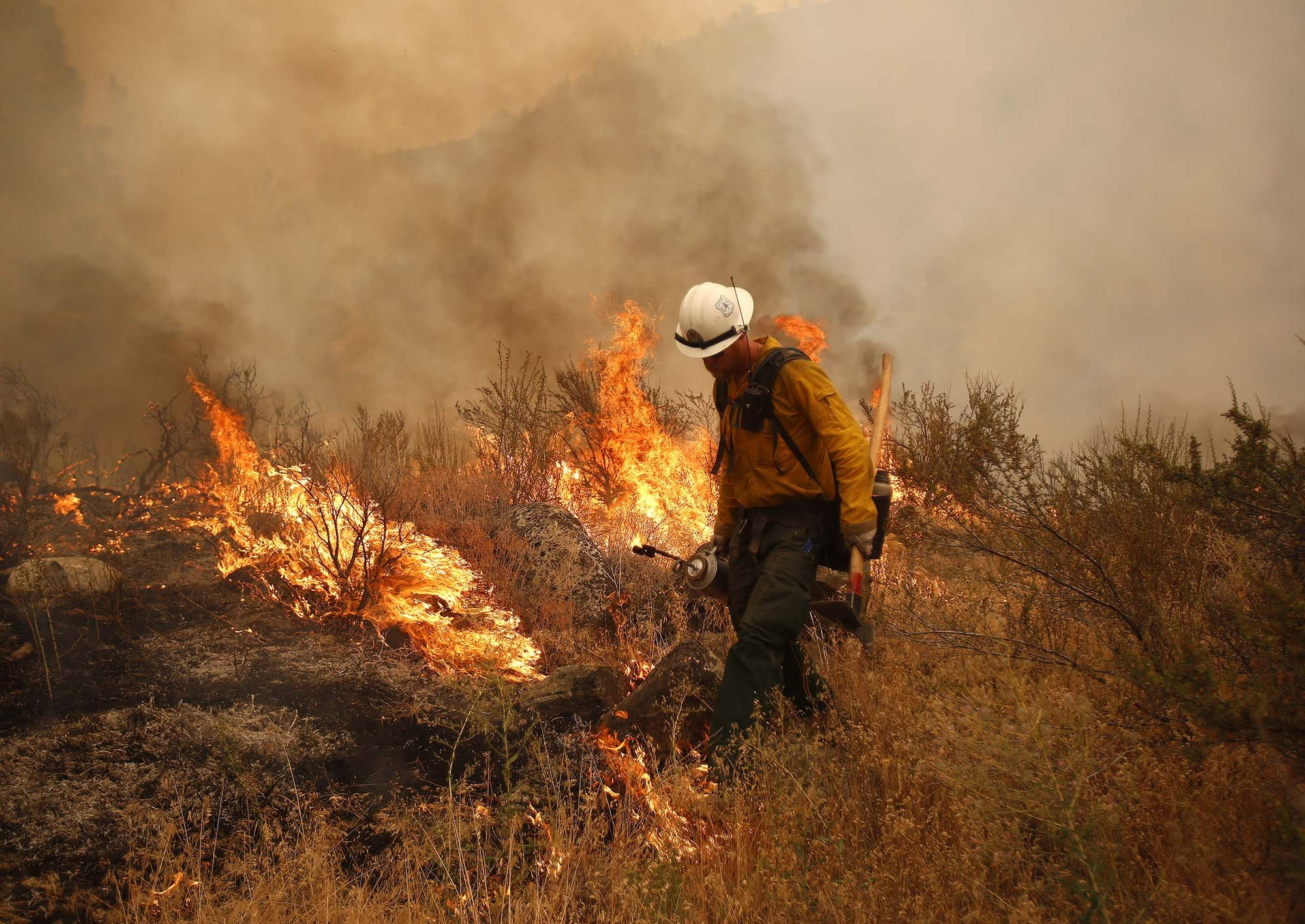  John Peterson of the local forest service controls the flames as they run south on Apple Acres Road outside of Chelan on Saturday, Aug. 15, 2015. 