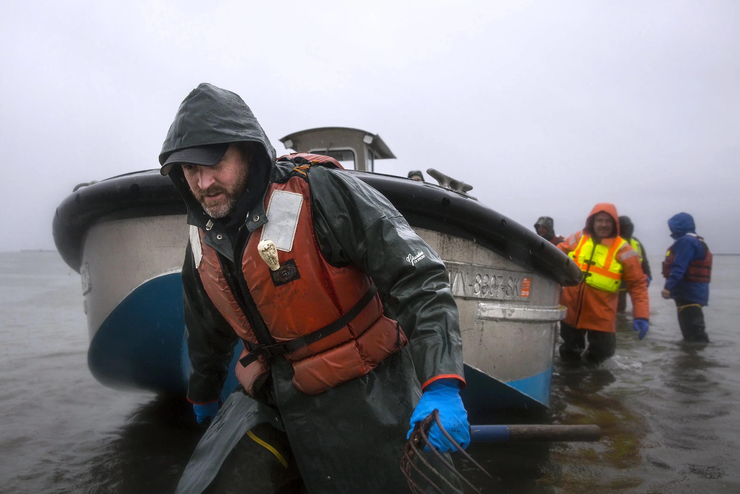 Jason Ragan, director of clam and oyster farming at Taylor Shellfish, pulls a boat in to the shore to take workers on a tour of their Sammish Bay farms, Thursday, March 22, 2018, near Bellingham. (Sy Bean / Seattle Refined)