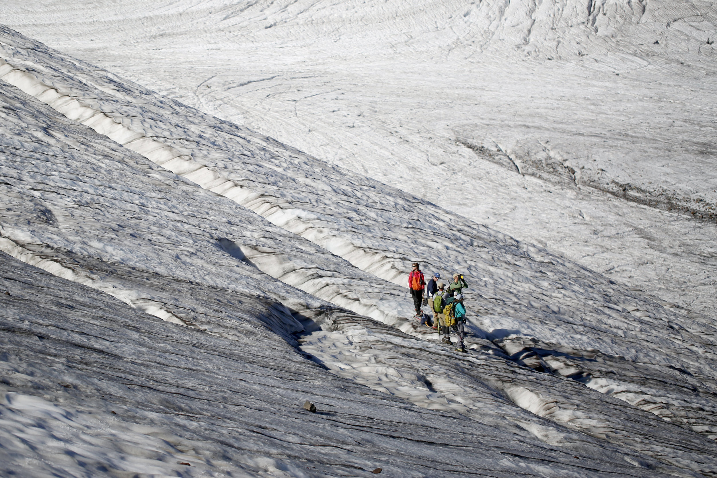  The team of researchers, led by glaciologist Mauri Pelto, travels across Sholes Glacier on Friday, Aug. 7, 2015.  