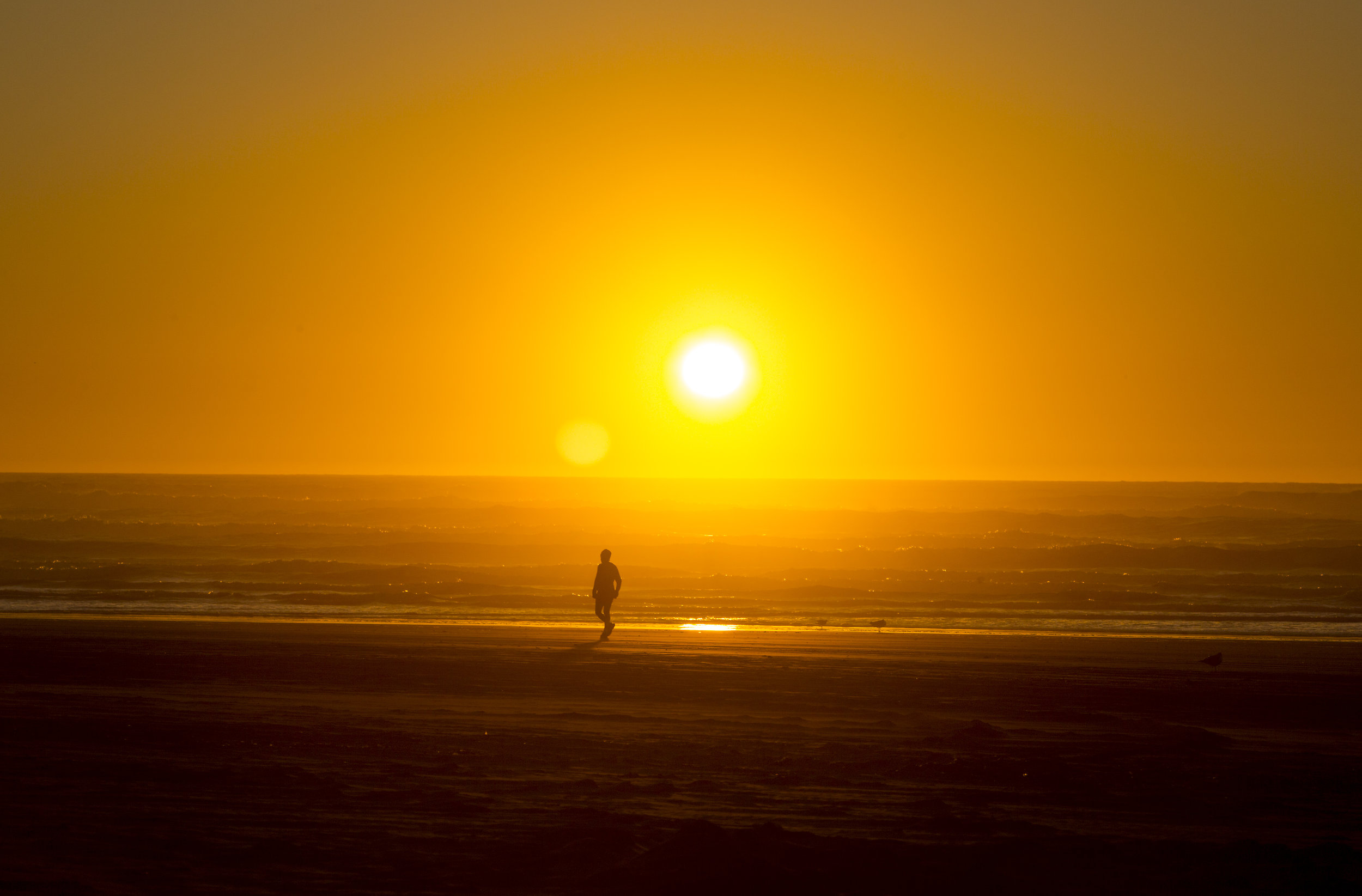  The sun sets over the Pacific Ocean just down the road from Starvation Alley Farms. (Sy Bean / Seattle Refined) 