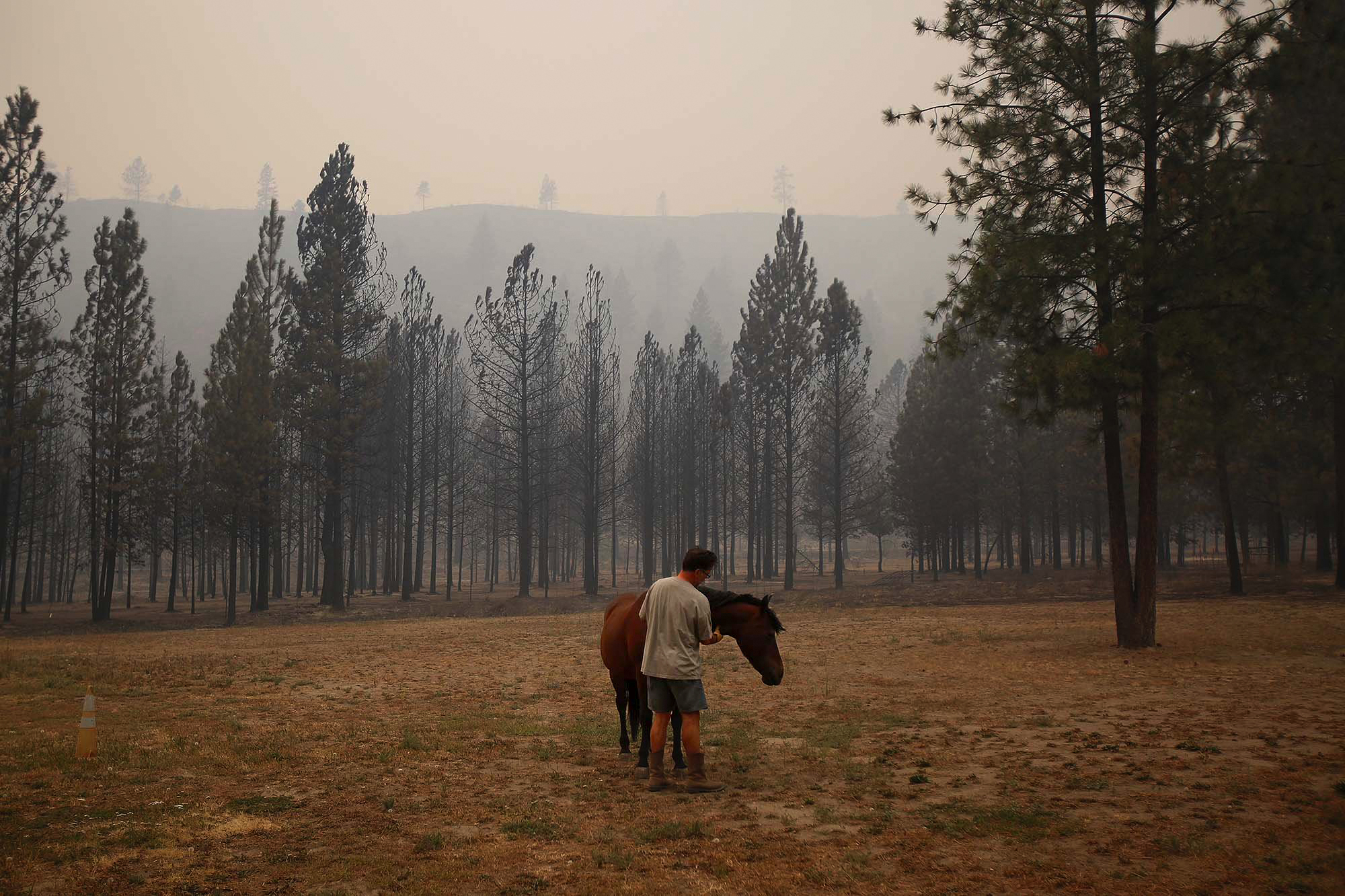  Todd Quinn calms down his spooked horse after it survived through the night and the fires in the Antoine Creek area on Saturday, Aug. 15, 2015. Quinn lost another horse and three goats, but his house managed to survive the firestorm. "I feel blessed