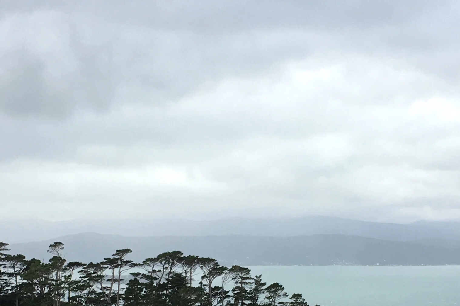 Inspiration for this series of paintings: View of Wellington harbour from the hills in winter