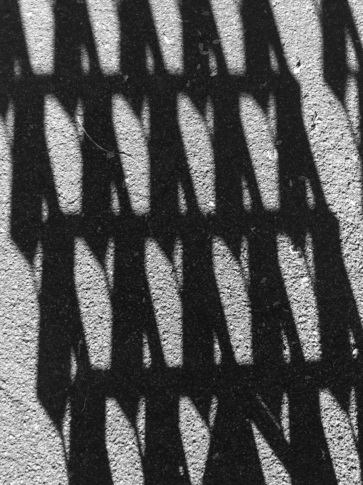 wine rack shadows