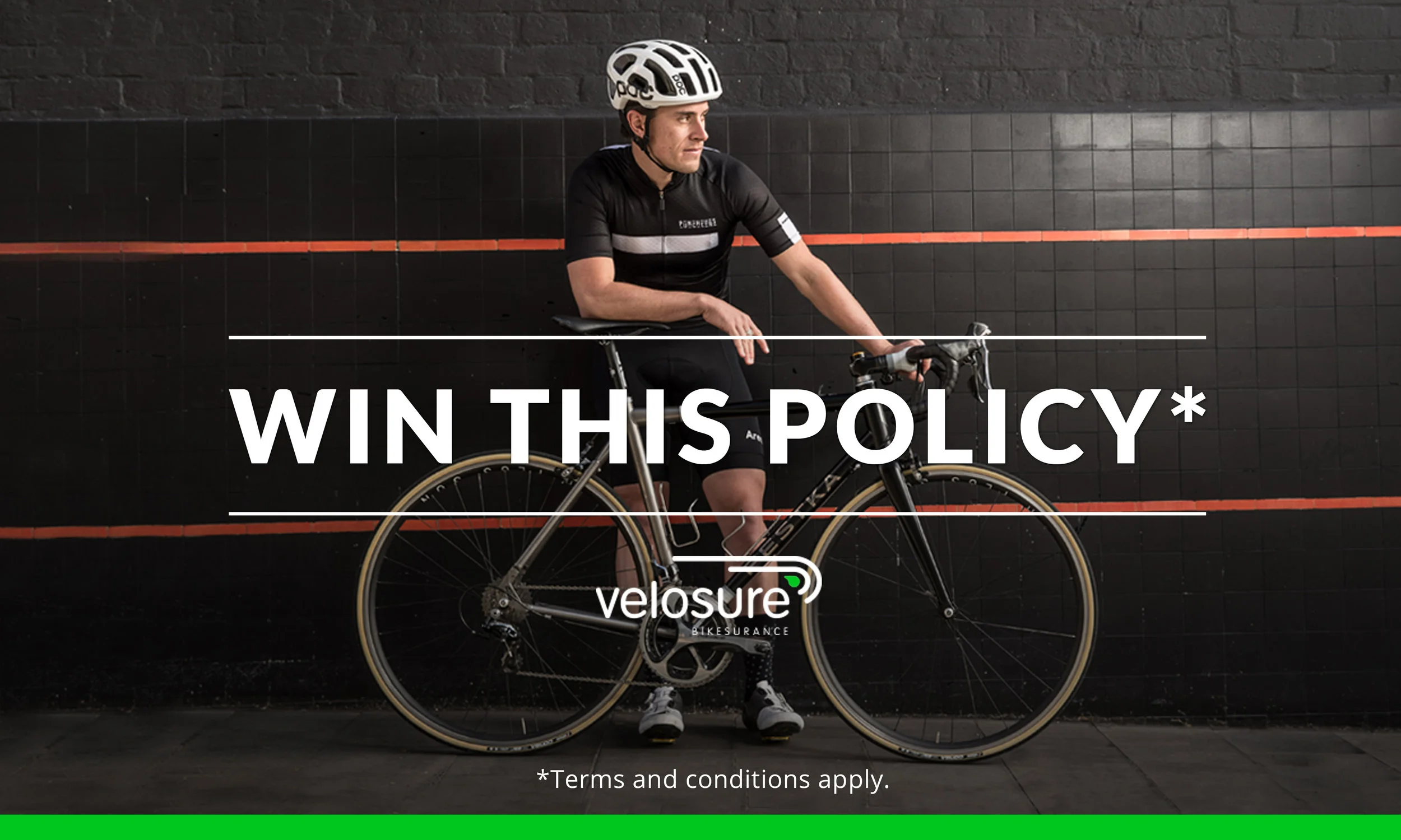 5 Web-Showcase-Project-Presentation.jpg