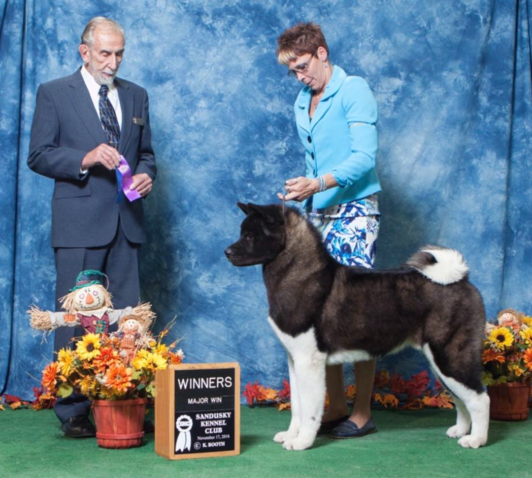 GCHS. Buster