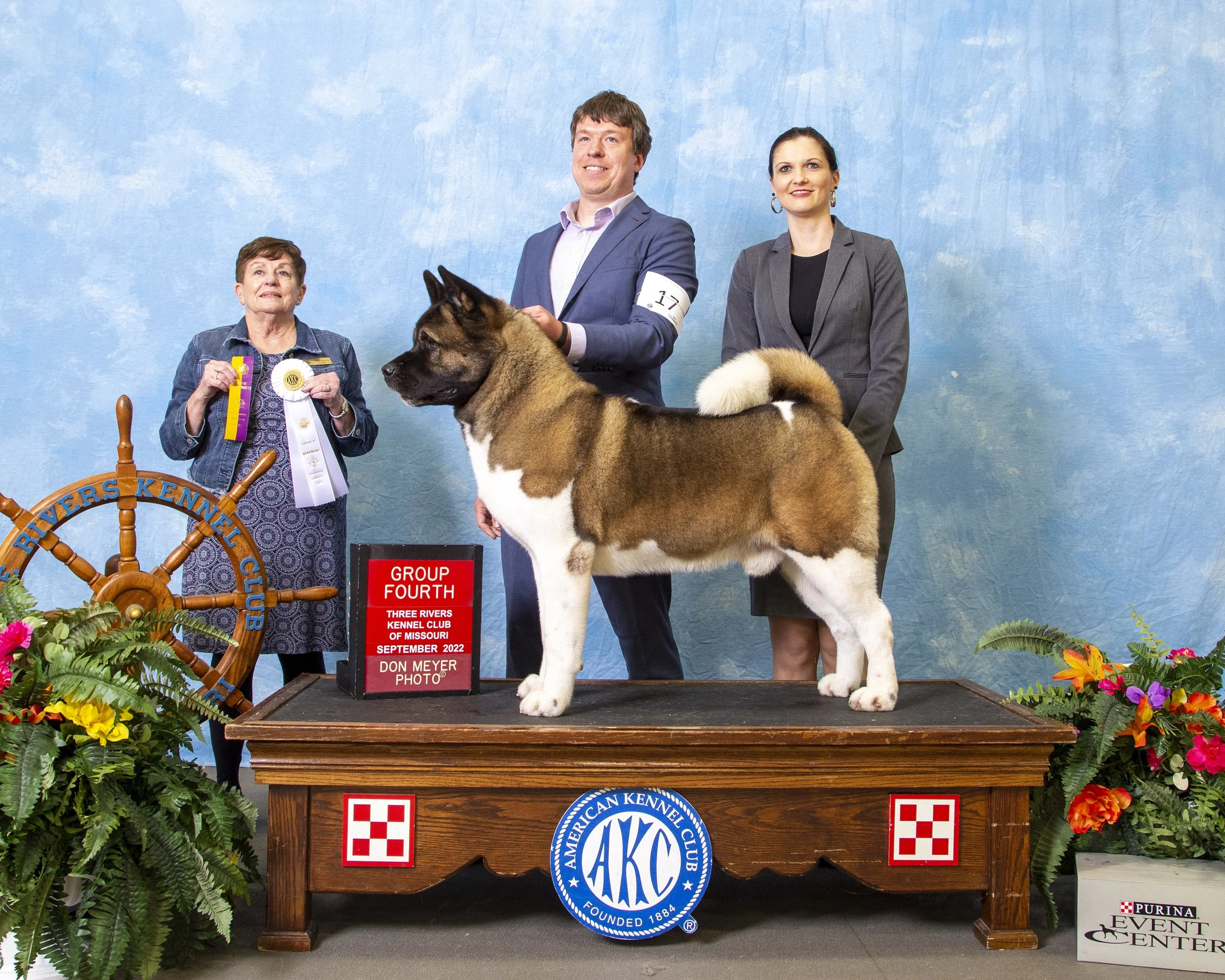 Akc Champion Akc American Akita AKC Sporting Delicate Group AKC