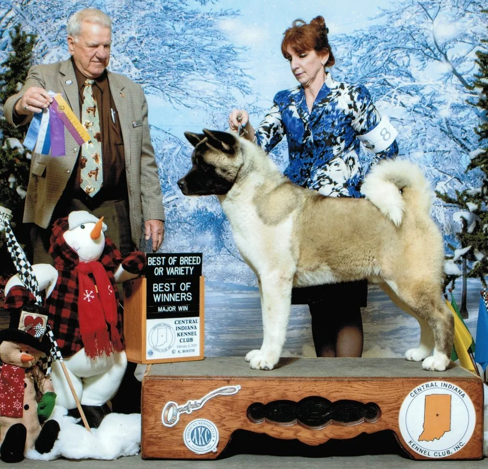 CH. Thunder (Retired) - AVAILABLE