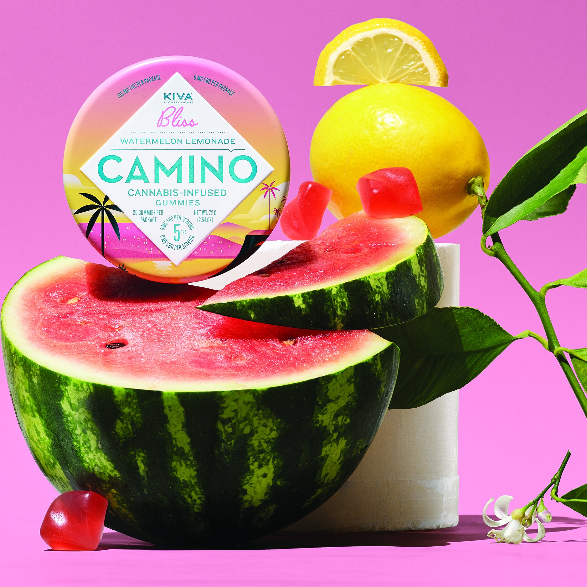 Camino-1_0001_FlavorCues_Camino_WatermelonLemonade_16158-16164_Final.jpg