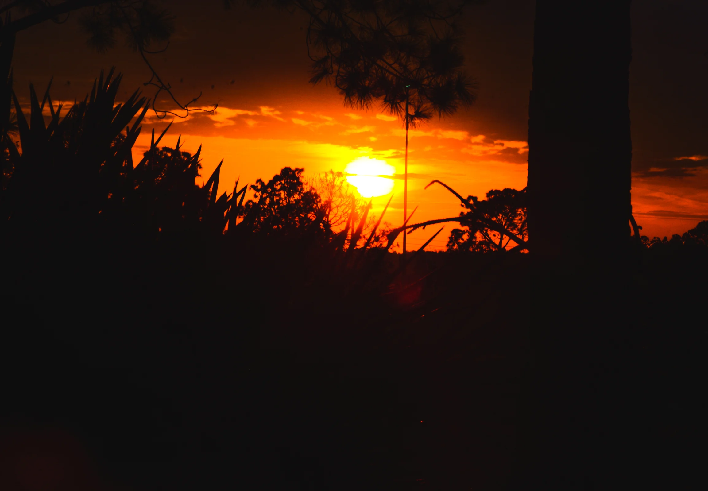 20180206-JJW_6522.jpg
