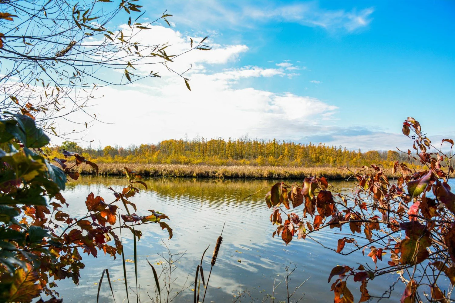 Doug Ford rushes to start Bradford Bypass ahead of June election without costing or proper studies