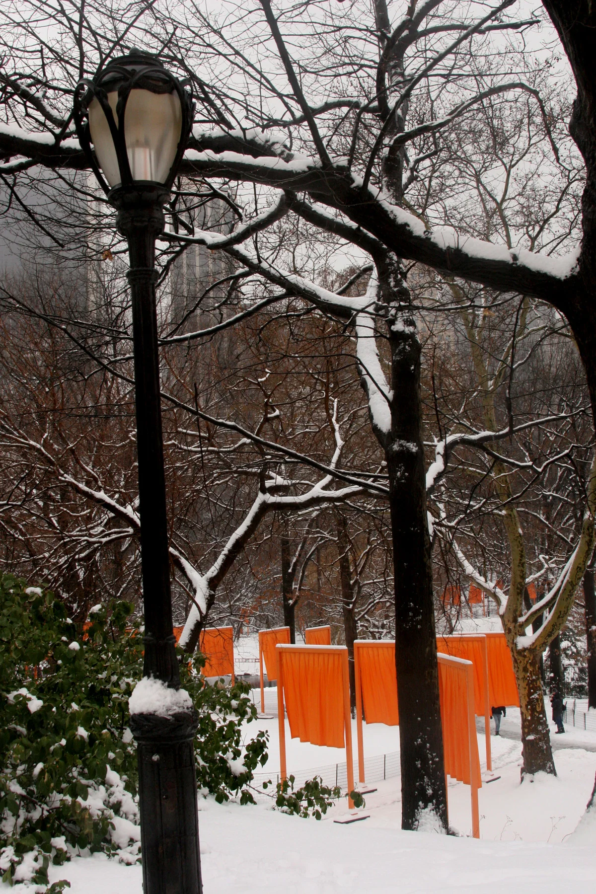 streetlight.jpg