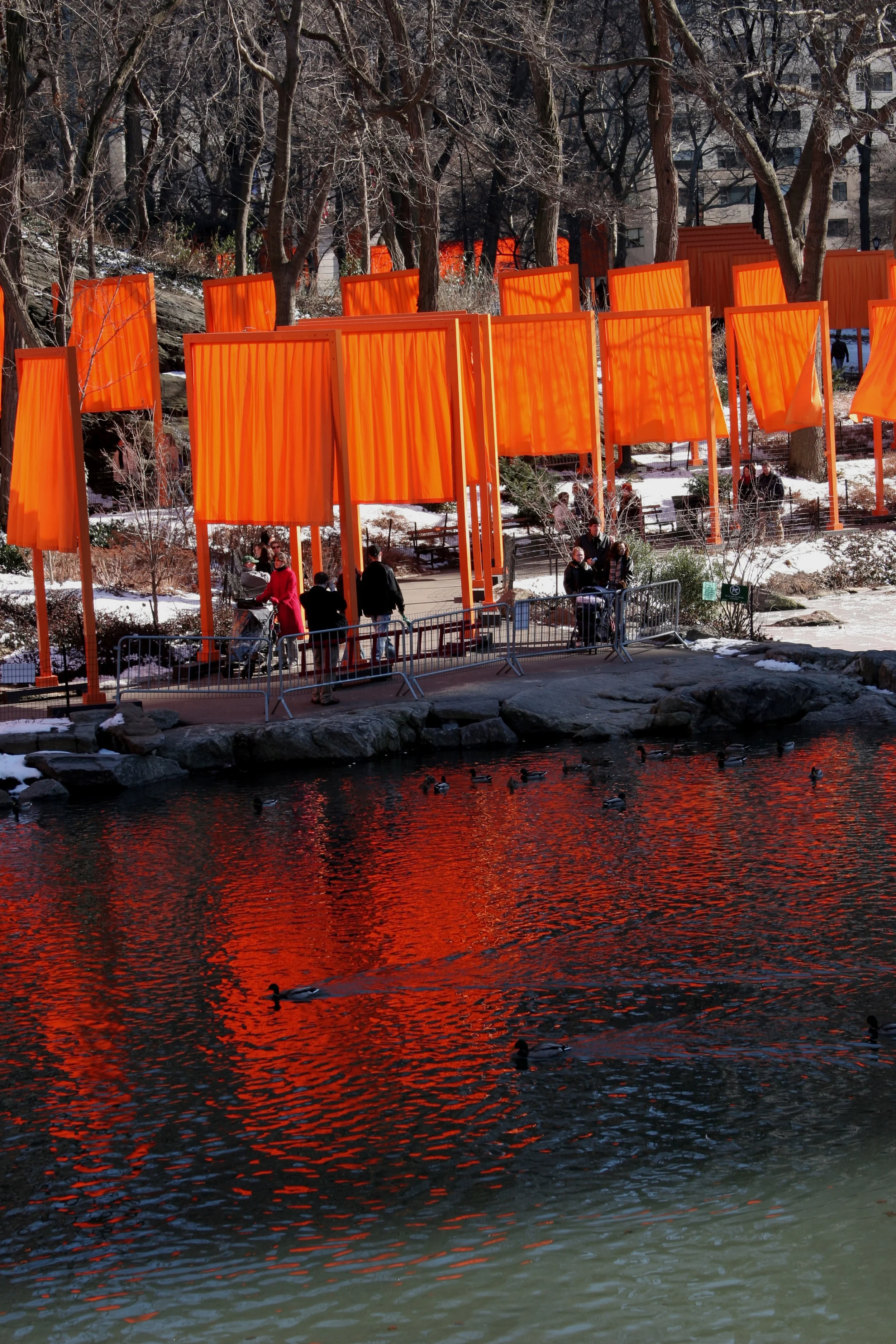 Gates#7ducks.JPG