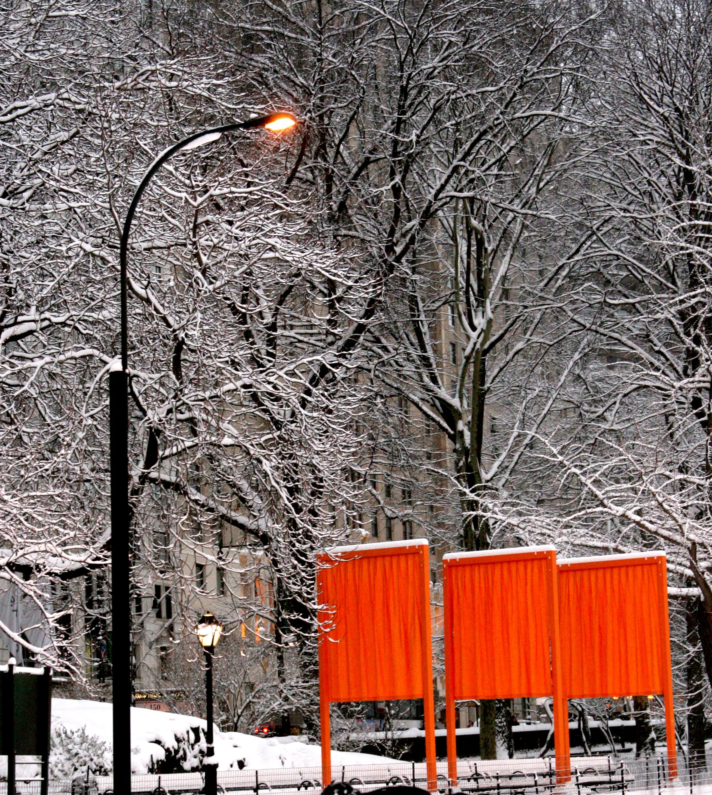 Gates#9snowtrees.JPG
