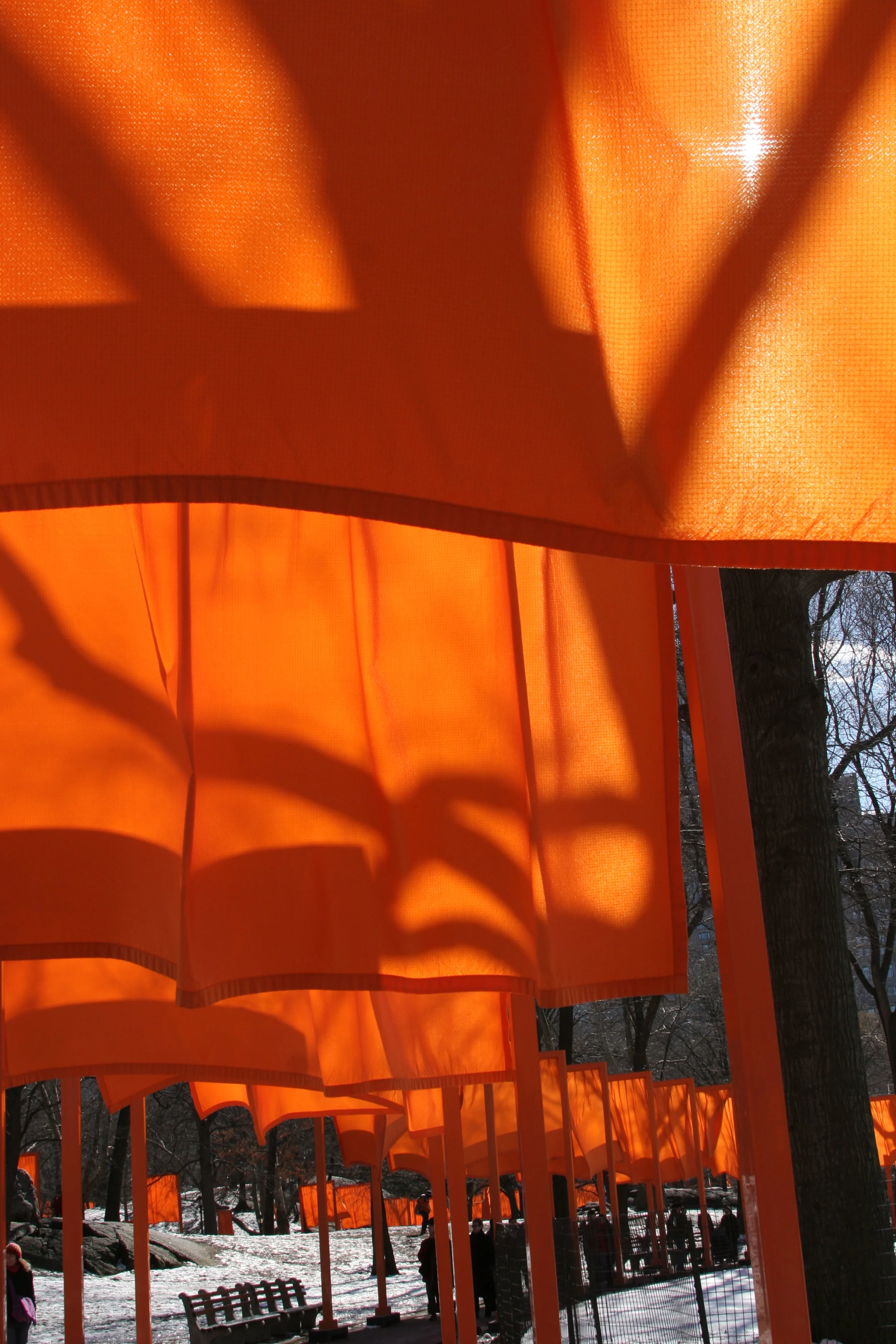 Gates#13bigorange.JPG