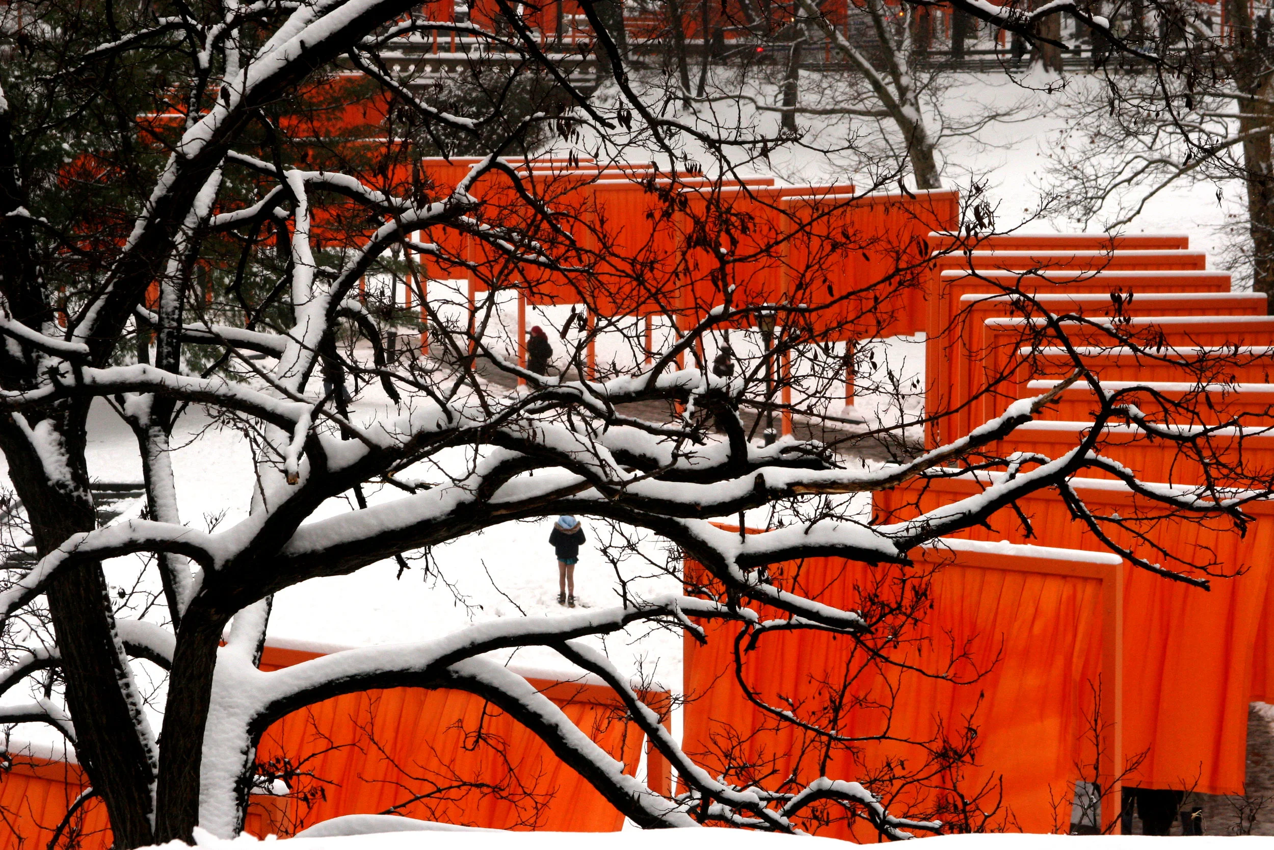 Gates#6bigtree.JPG