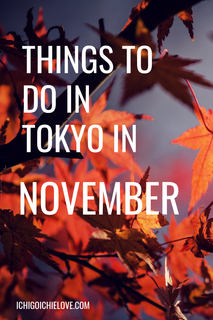 Things to do in Tokyo in November ichigoichielove.png