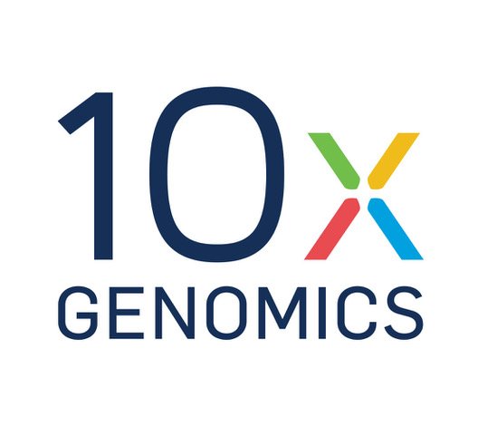 10x_LOGO_.jpeg