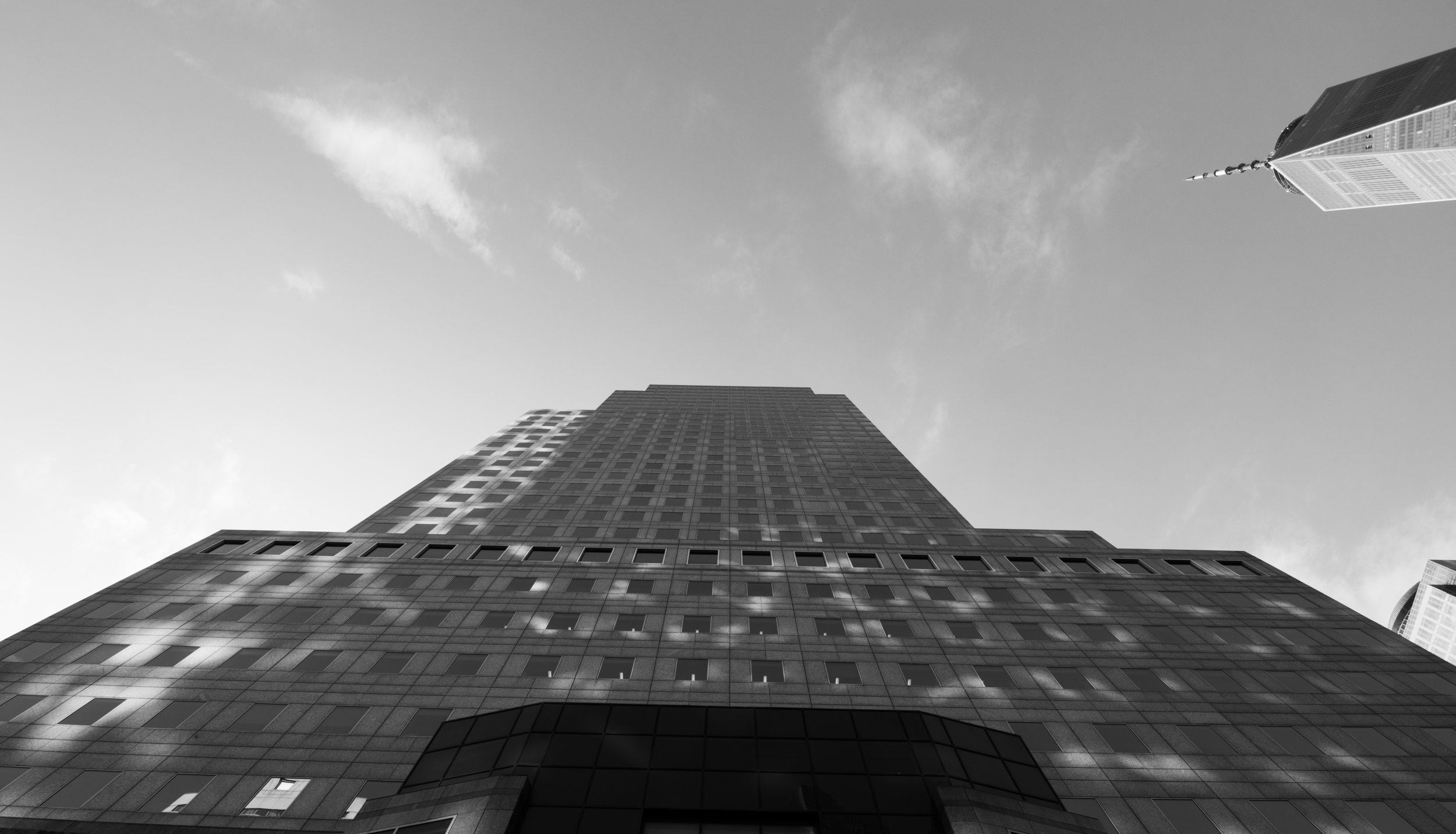 DSC_9507 1.png