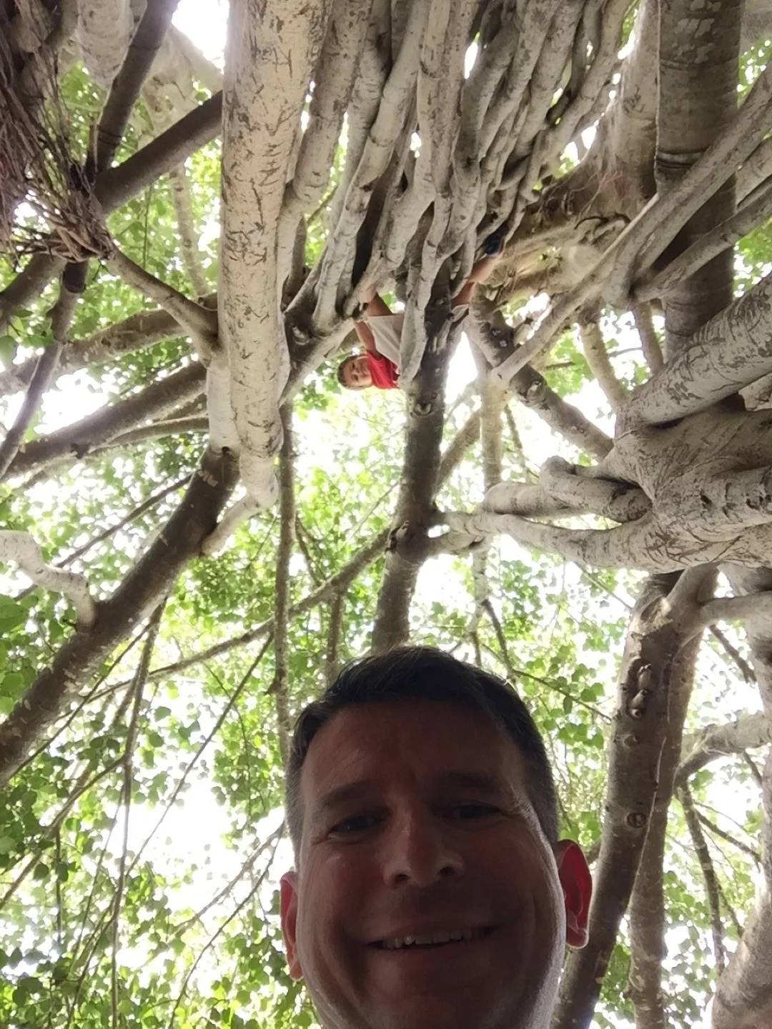 IMG_6026 (Large).JPG