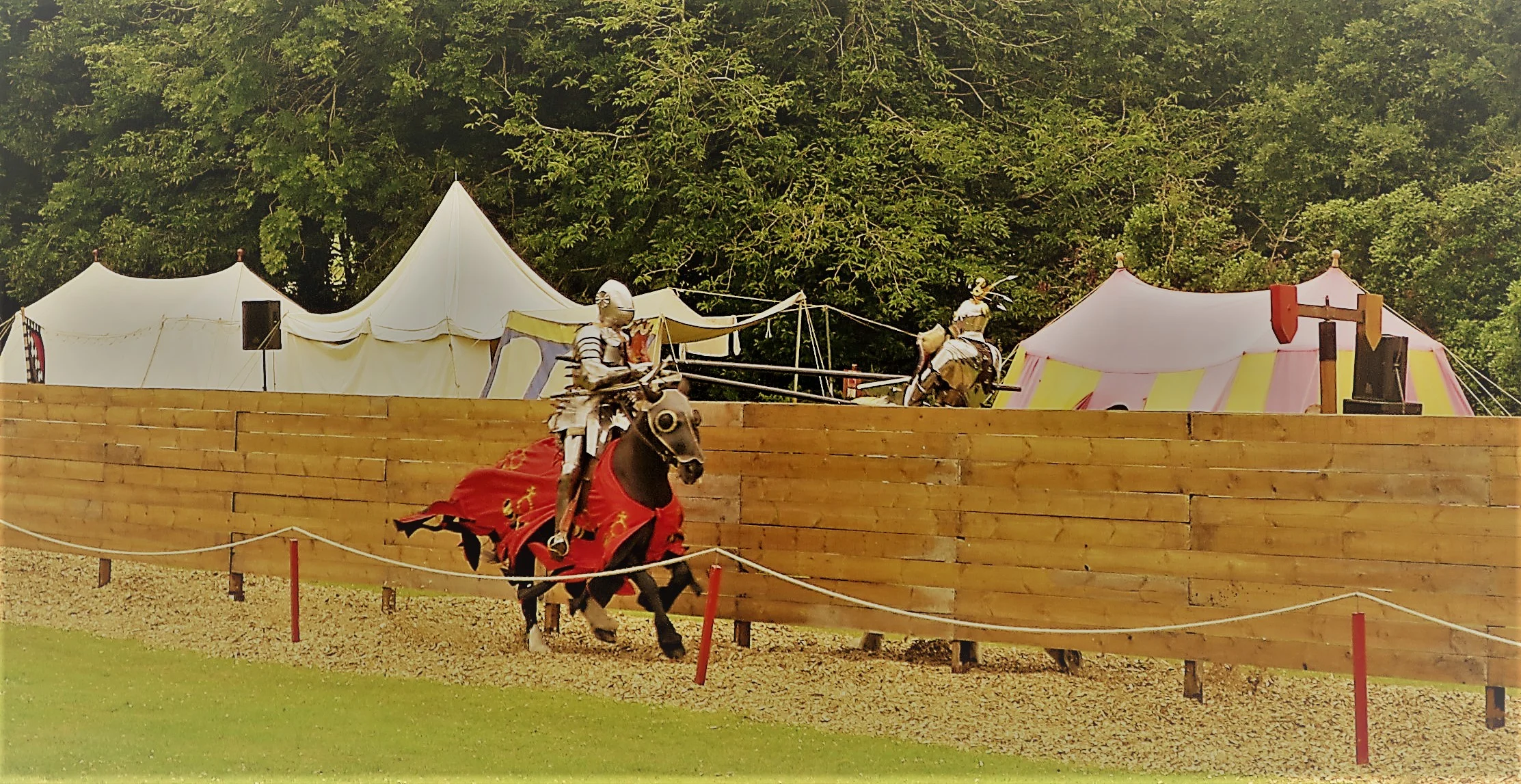 IMG_8168_CROPPED.jpg