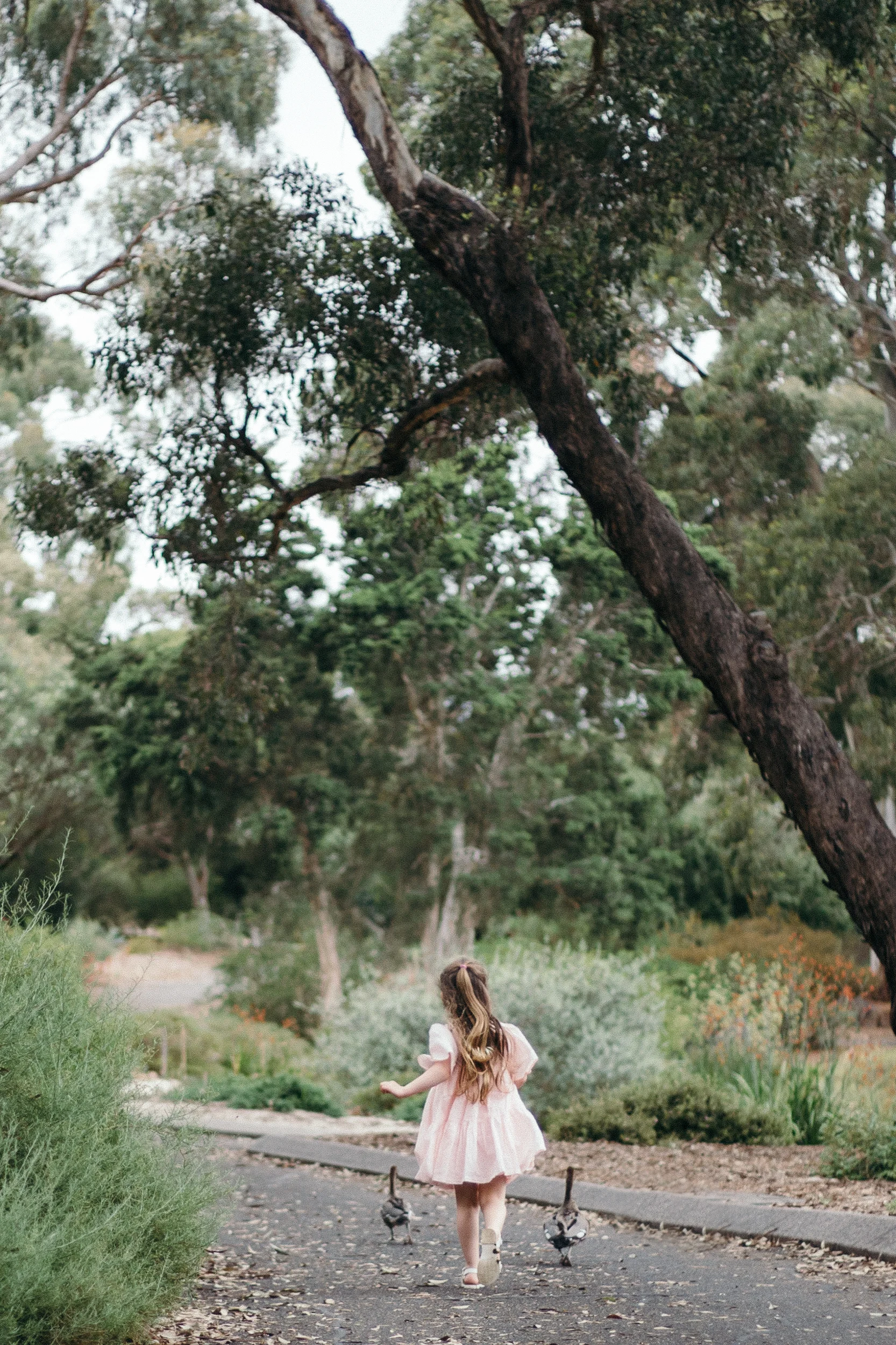 Whitlaws Wittunga botanic garden_-37.jpg