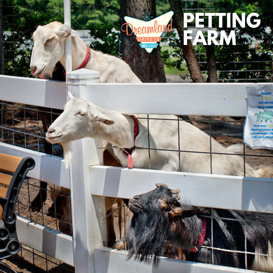 Petting Farm - Goats.png