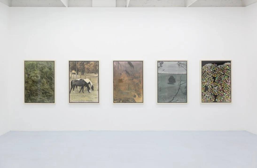 Peaceful Interval / Daine Singer, Melbourne / 1 - 22 December, 2021