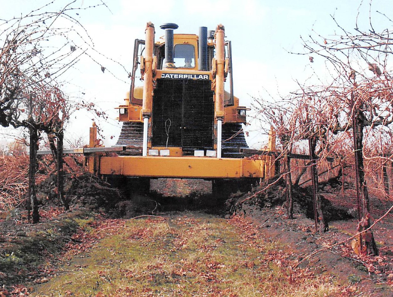 2017 grape piling 2 from print.jpg