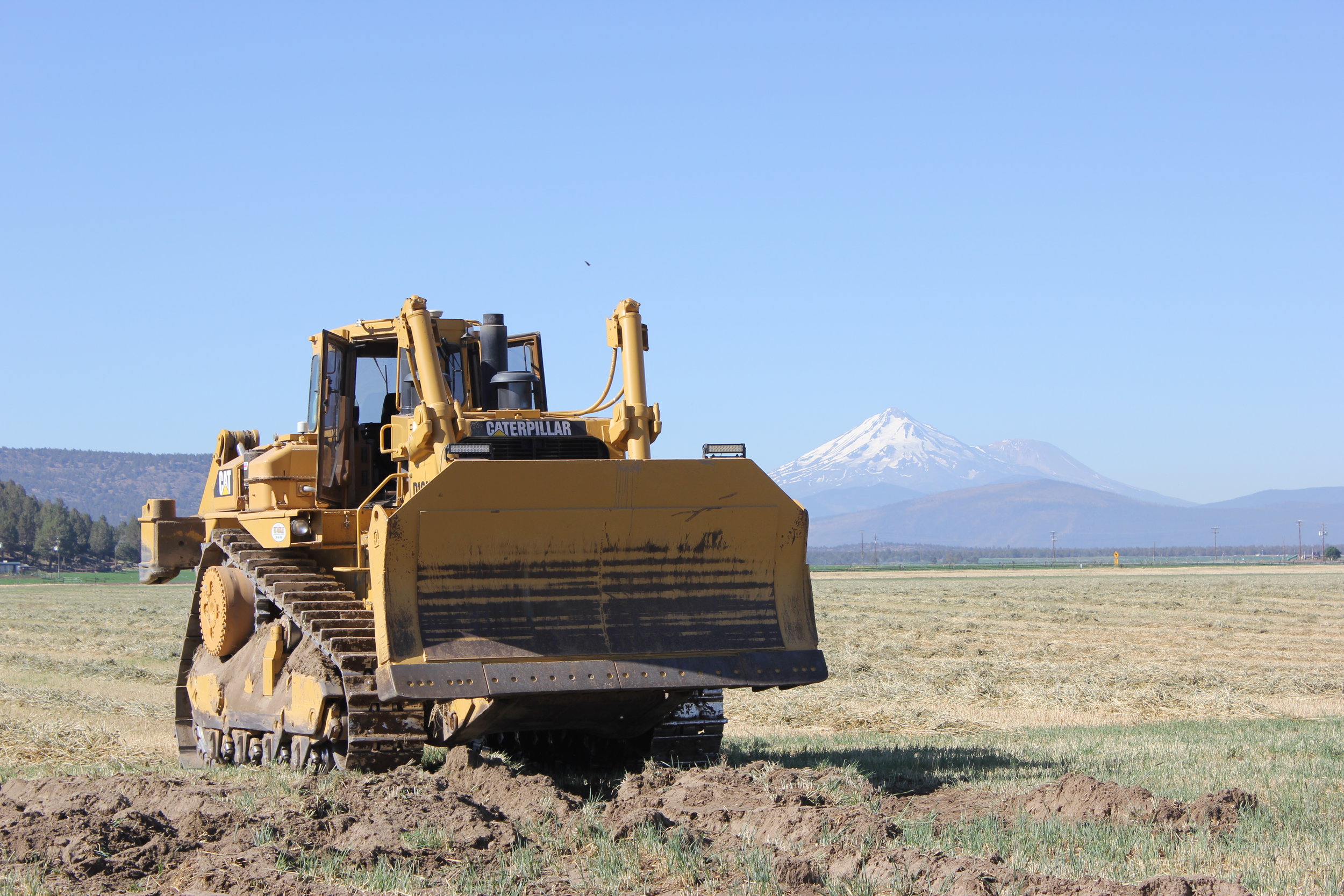 D10 with Mount Shasta.JPG