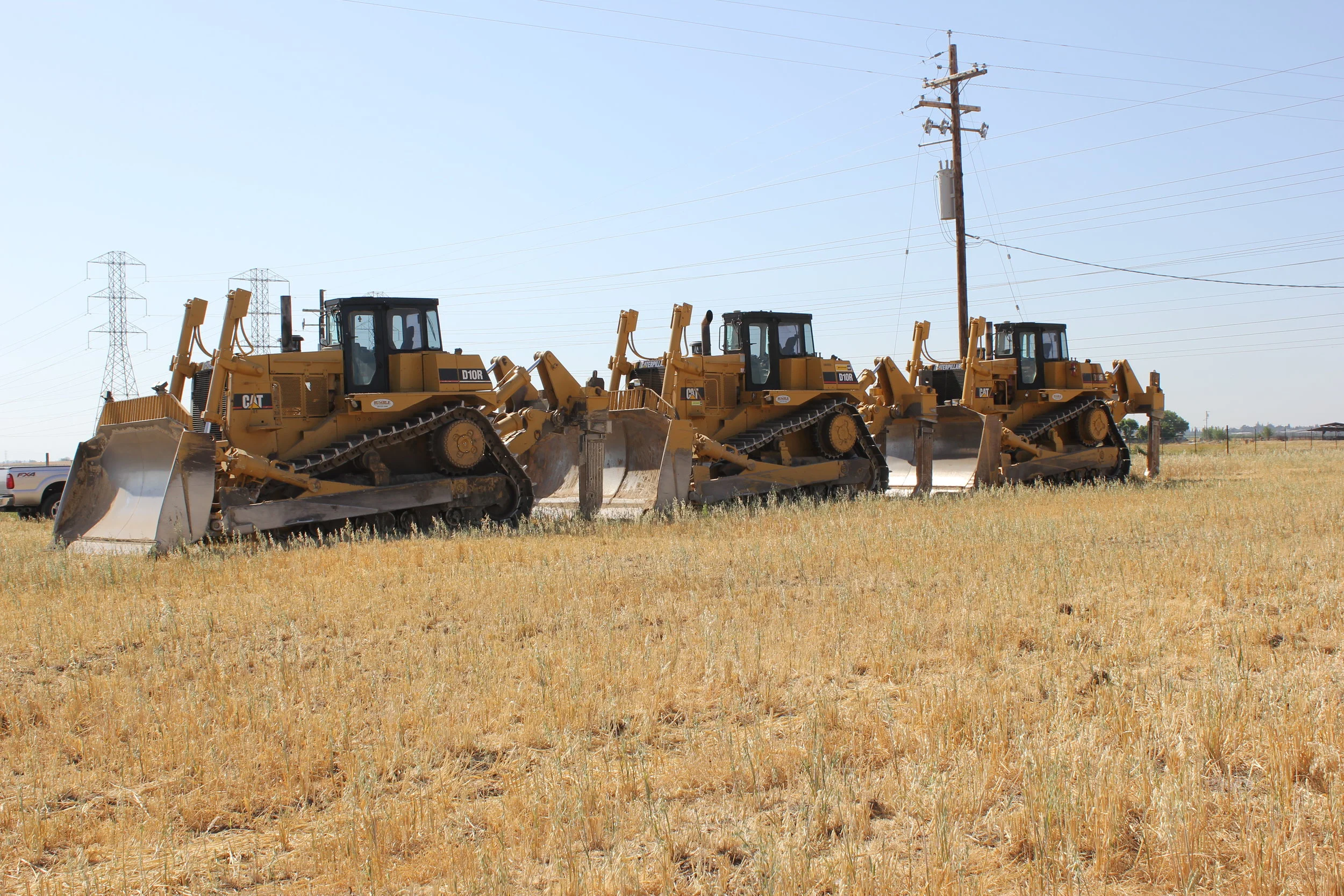 Jane - cat picture 3.JPG