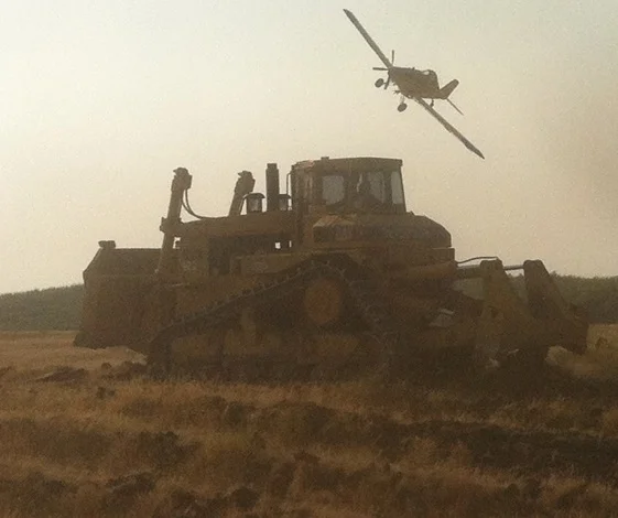 Jane - cat with plane picture.JPG