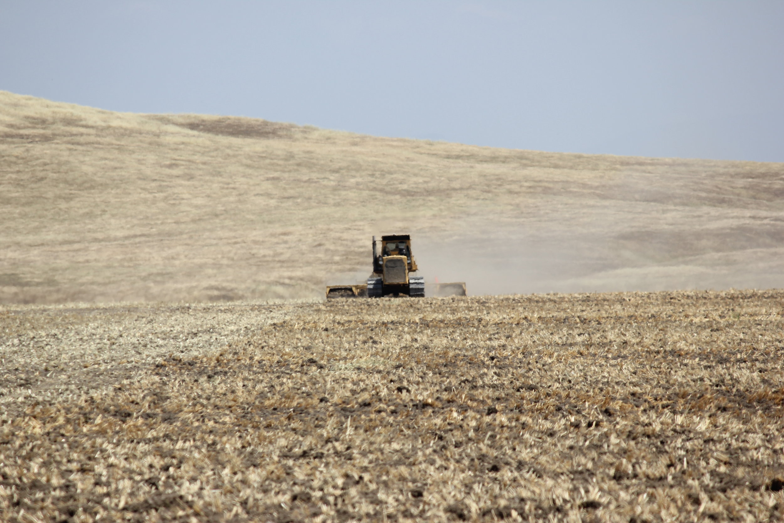 Dozer front on.jpg