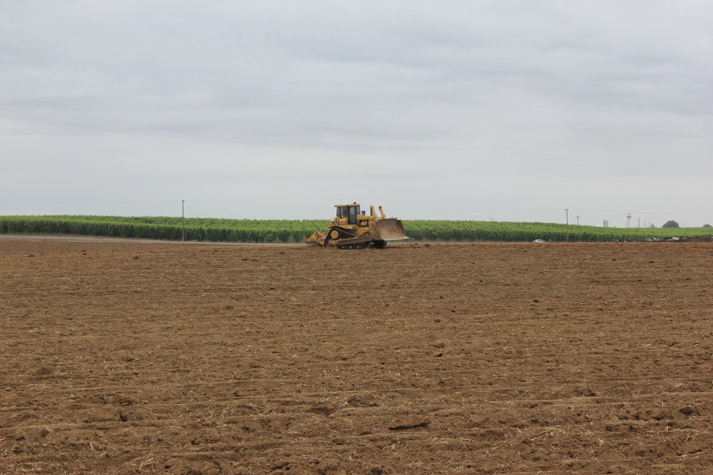 Tractor ripping by grapes.jpg