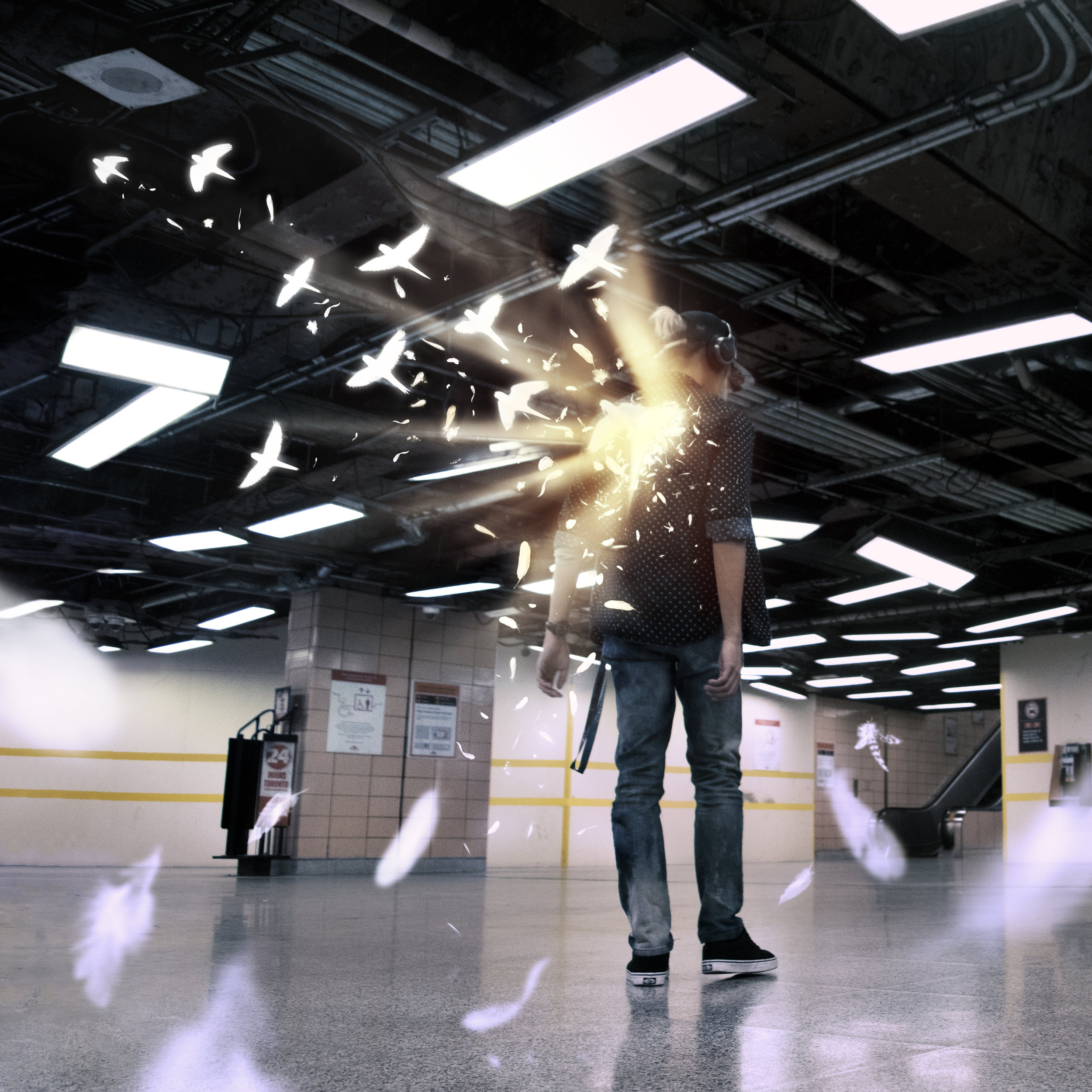 Flight
