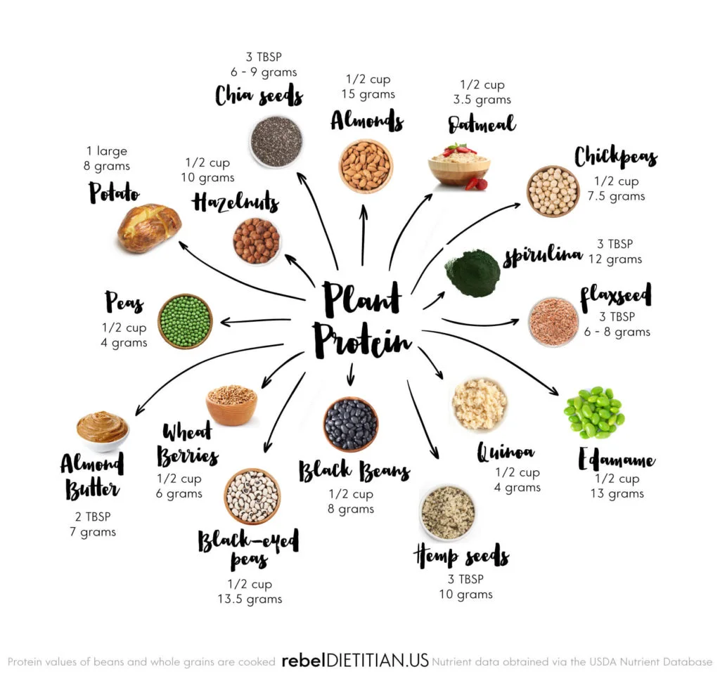 Top-Sources-of-Plant-Based-Protein-1024x969.jpg