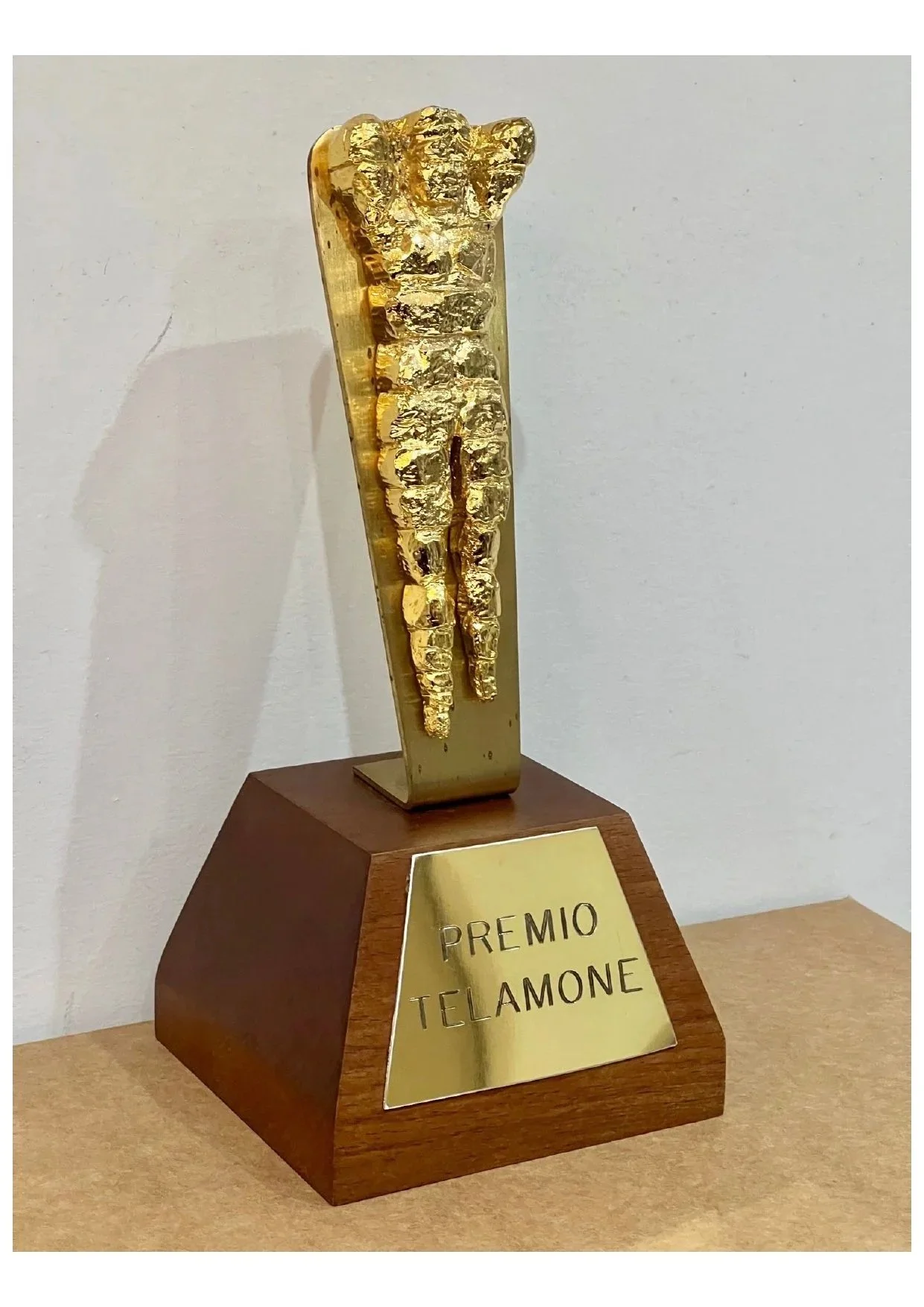 Save the date: il 28 novembre la 49ª edizione del Premio Telamone