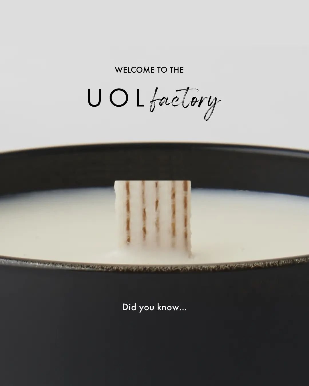 We've surpassed the 1500 followers mark, 🎉, and it felt like a good time to tell you a little more about us.

So hello 👋, we're Union of London and we make original scents by hand at our UOLfactory. Did you know that your olfactory or sense of smel