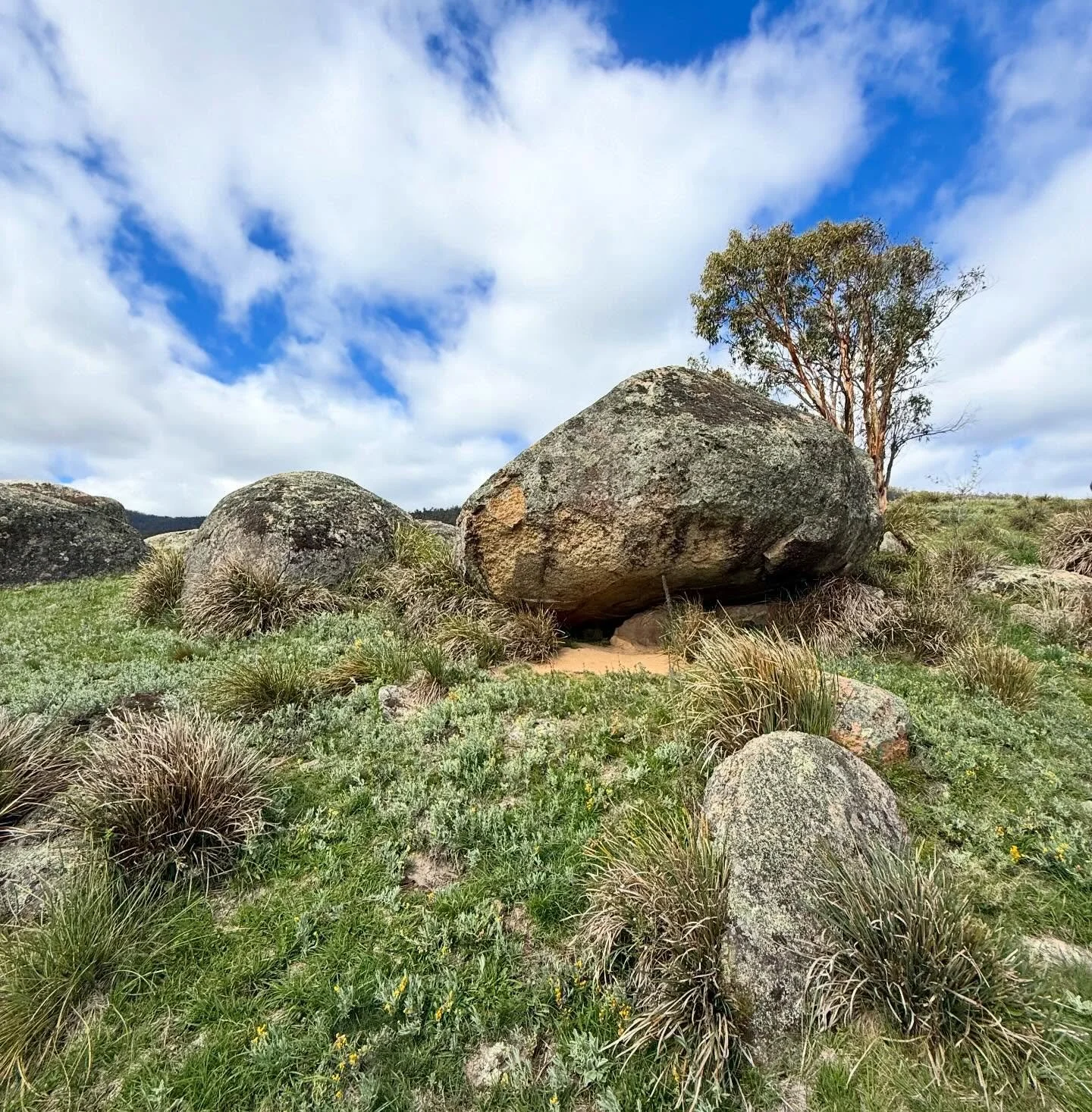 @craft_design_canberra  Artist-In- Residence Open Day at Namadgi National Park! Supported by @actparks @nfsaonline