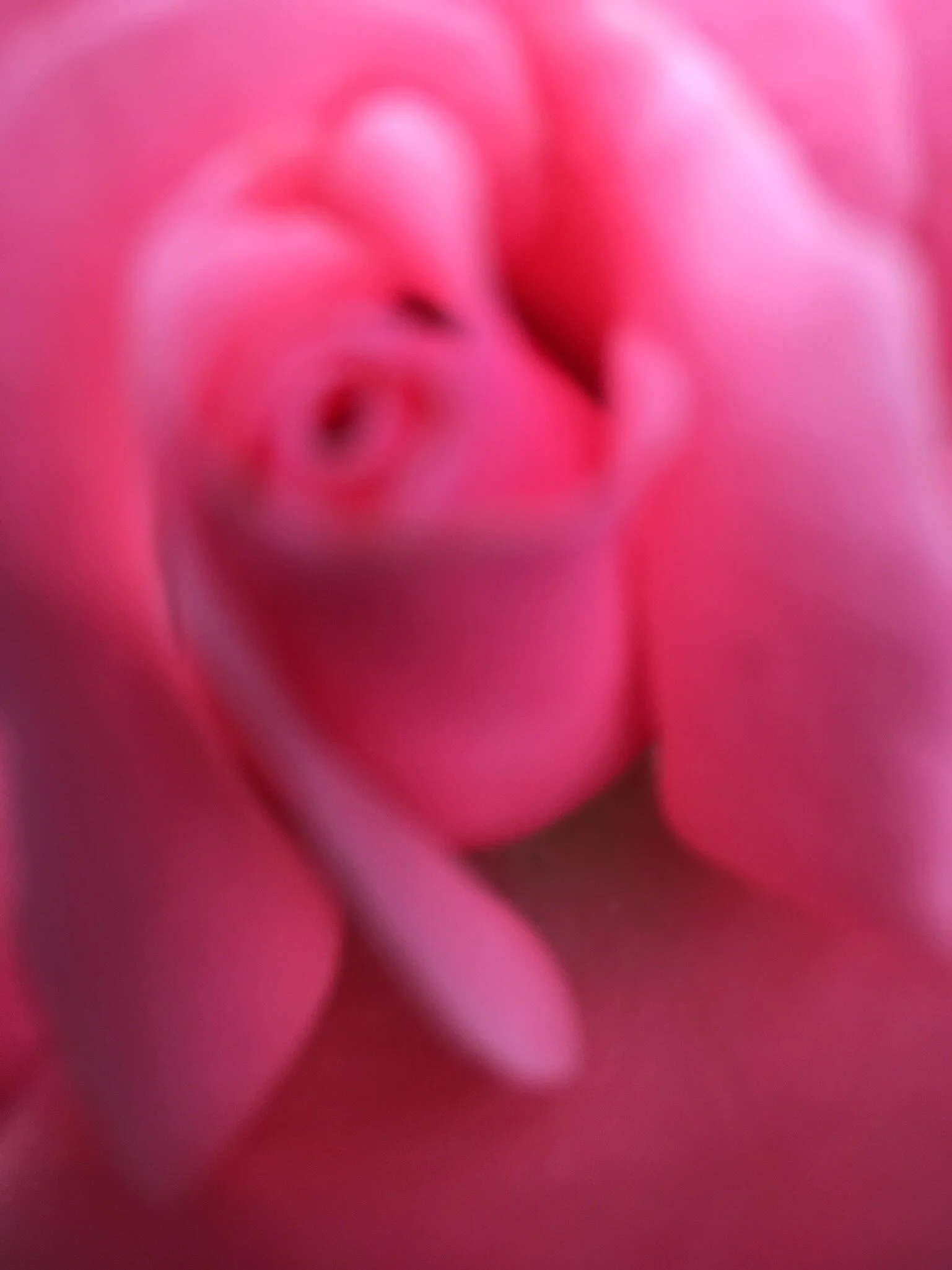  Der Tanz der Fünf Intelligenzen