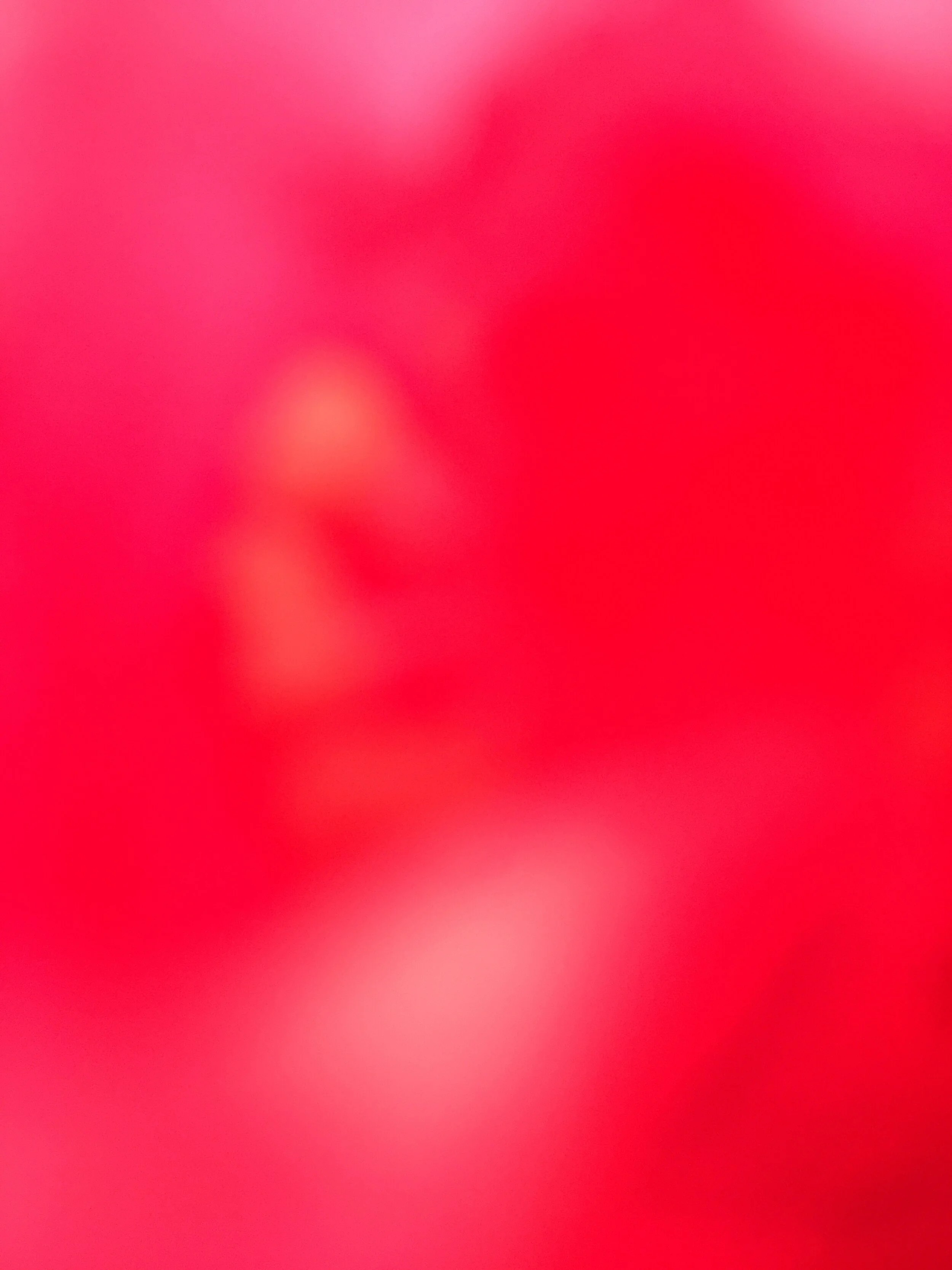 Was willst du wirklich ?