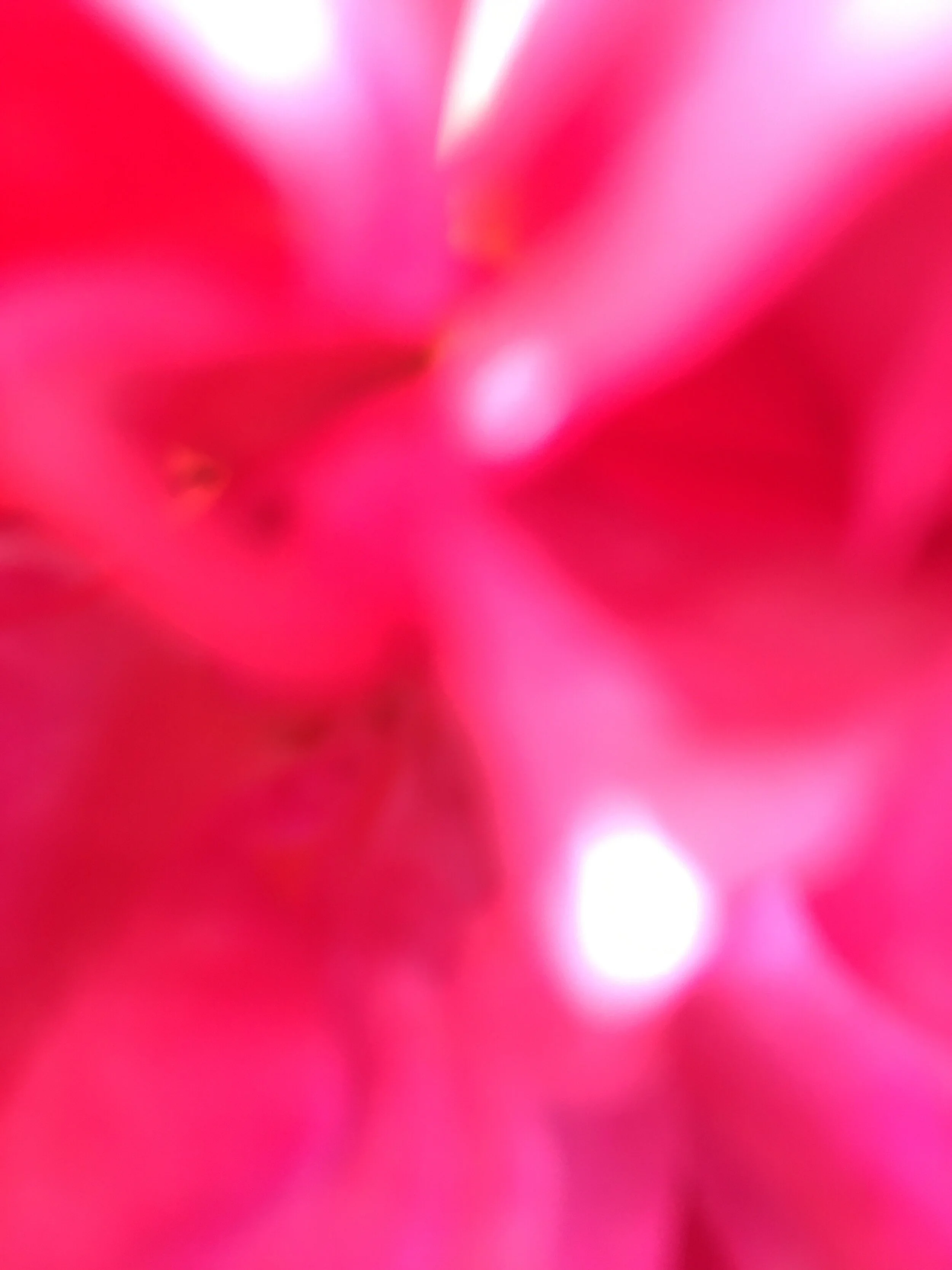 Fotografien - Raum - Natur - Farb-Raum